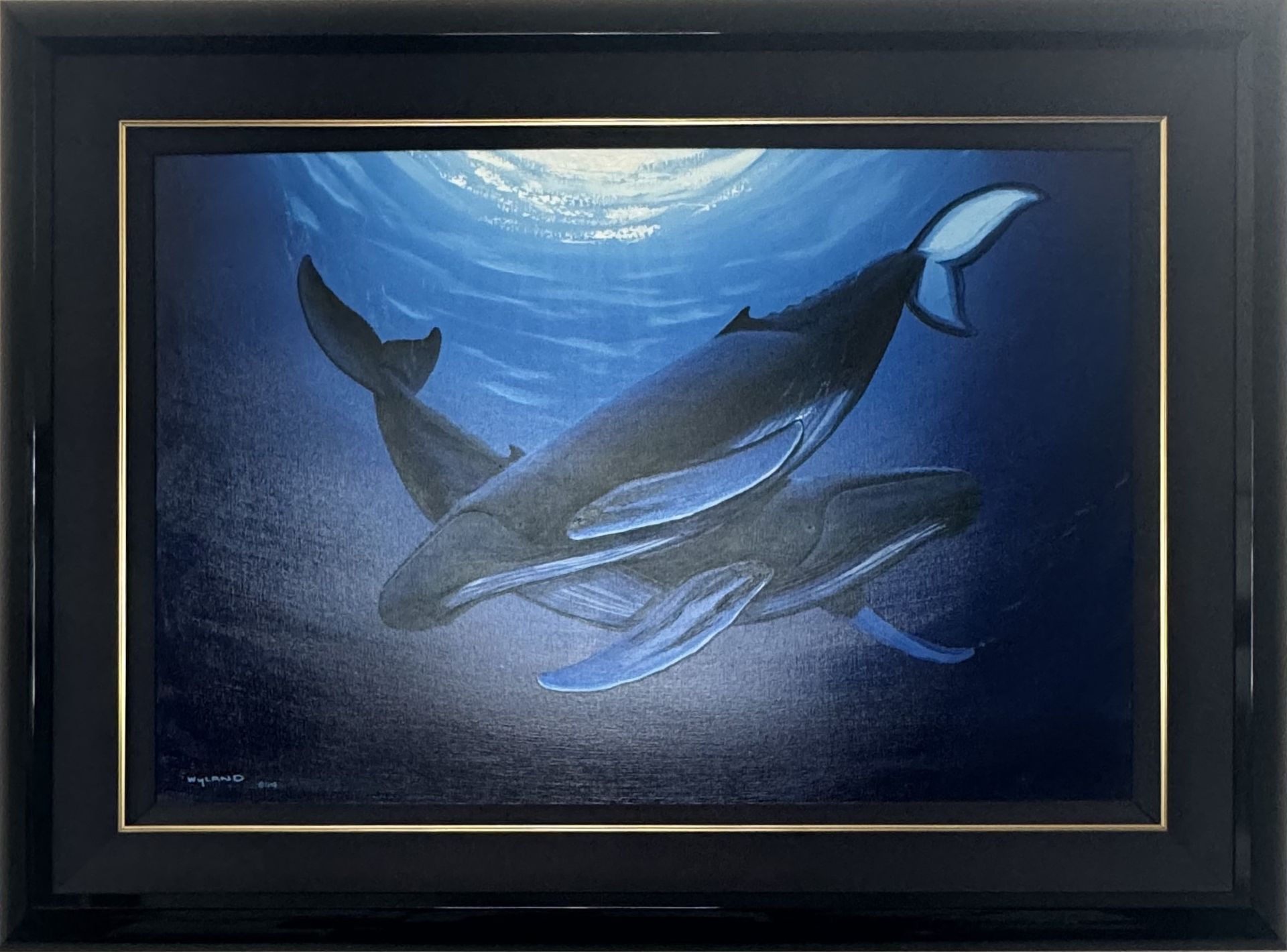 Wyland A Touch Of Whales